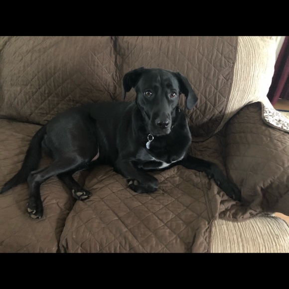 Meet your Posher, Diane - Picture 4 of 8